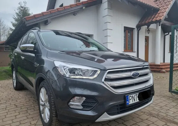 ford kuga sulmierzyce Ford Kuga cena 71500 przebieg: 80000, rok produkcji 2019 z Sulmierzyce